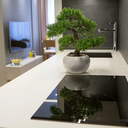 Supreme Palace Cube *